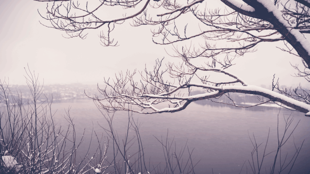 Lake Austin boat rental